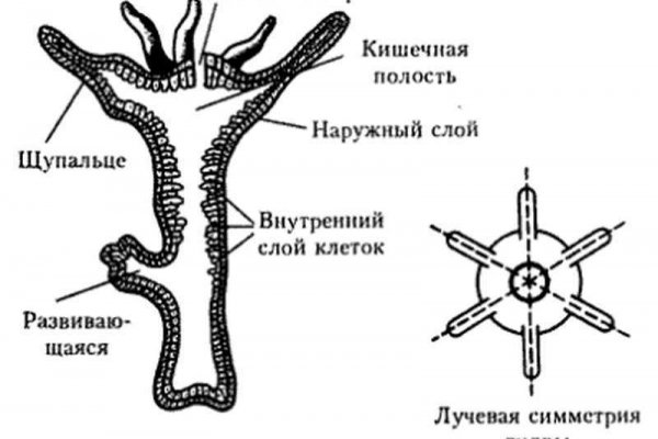 Кракен площадка kr2web in